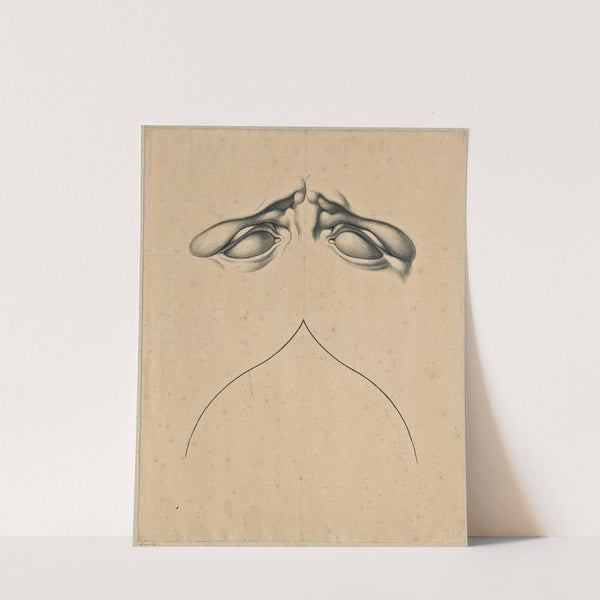 Analogy between frowning eyes (of Laocoon’s son) and a gothic arch by David Humbert de Superville