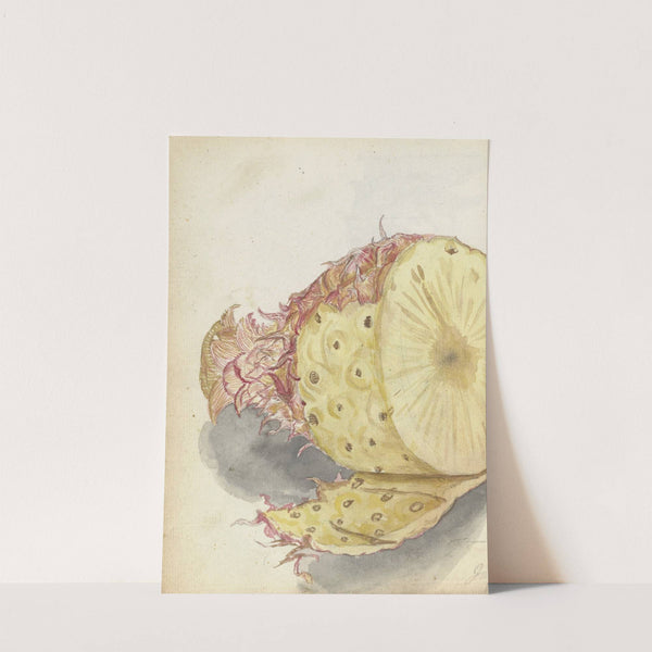 Ananas by Jan Brandes