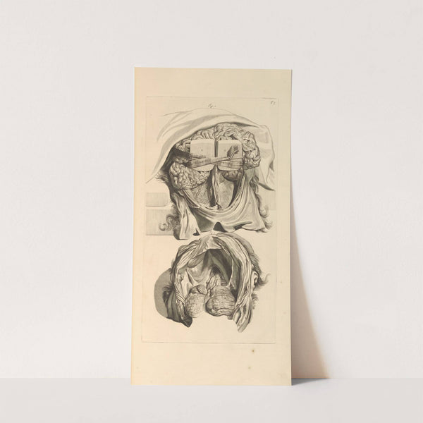 Anatomia humani corporis Pl.008 by Gerard de Lairesse