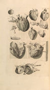 Anatomia humani corporis Pl.023
