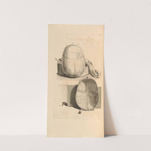 Anatomia humani corporis Pl.092 (1685) by Gerard de Lairesse