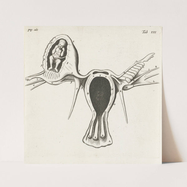 Letter T (1645-1650) by Jeremias Falck