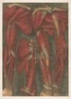 Anatomical muscle models of the arm and shoulder