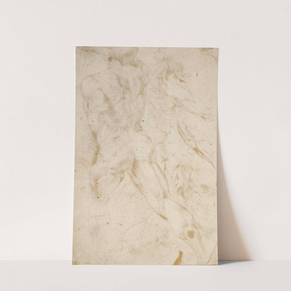 Anatomical Studies by Peter Paul Rubens