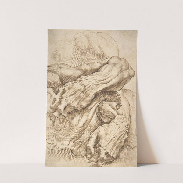 Anatomical Studies; a left forearm in two positions and a right forearm by Peter Paul Rubens