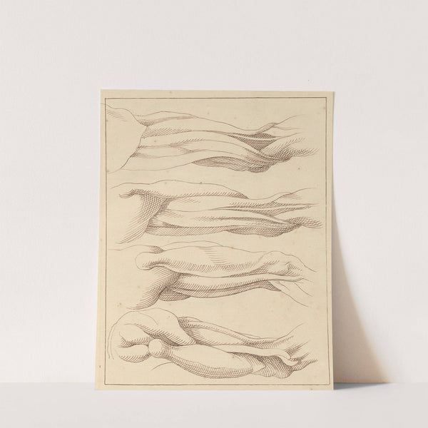 Anatomical Studies of Legs. by Hamlet Winstanley