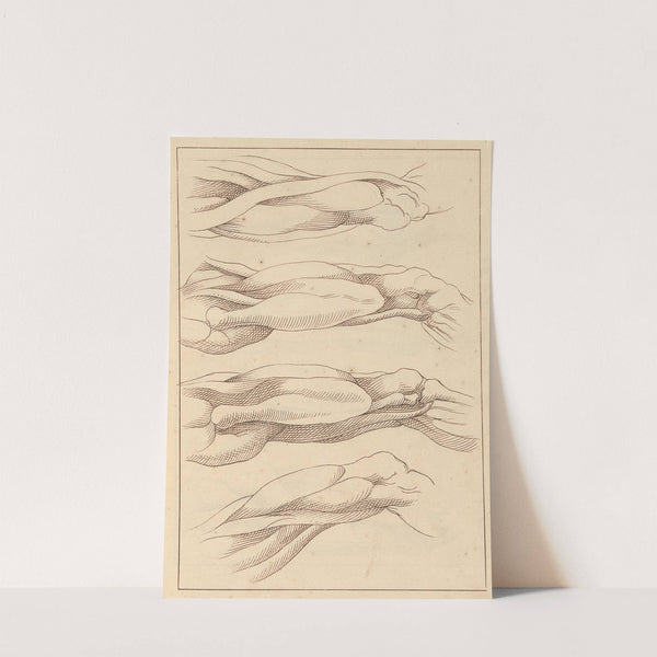 Anatomical Studies of Legs. by Hamlet Winstanley
