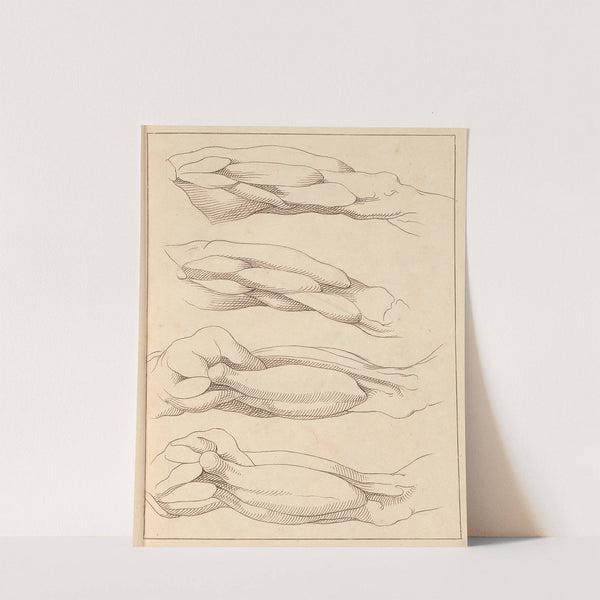 Anatomical Studies of Legs by Hamlet Winstanley