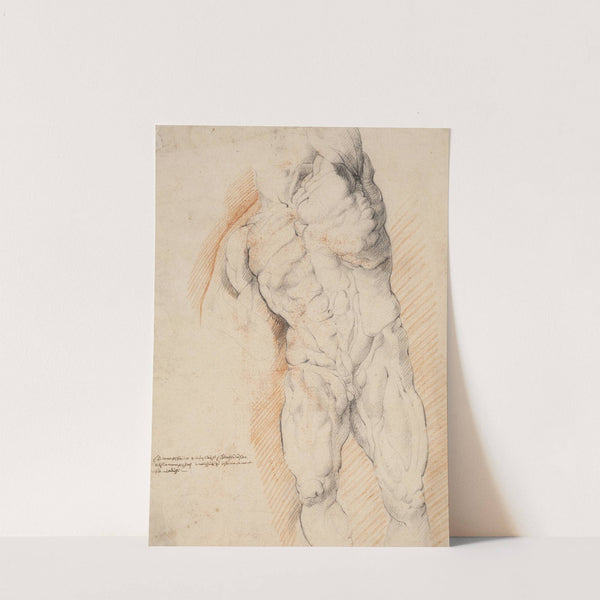 Anatomical Study (écorché). Front view of standing flayed man, his left arm raised (1628 – 1630) by Willem Panneels