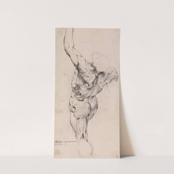 Anatomical Study (écorché). Standing flayed man seen from the back half turned to the left, his left arm raised_ (1628 – 1630) by Willem Panneels