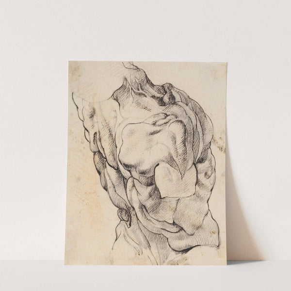 Anatomical Study (écorché). Torso of a flayed man seen from the back half turned to the right (1628 – 1630) by Willem Panneels