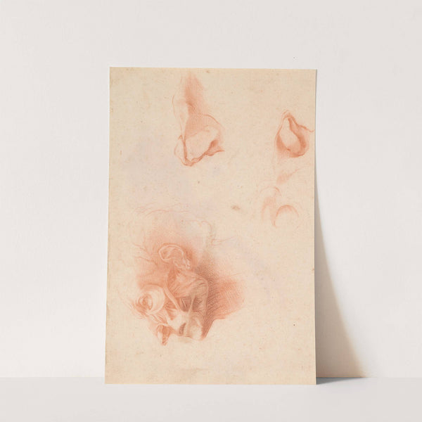 Anatomical Study, Face in Profile by Pompeo Batoni