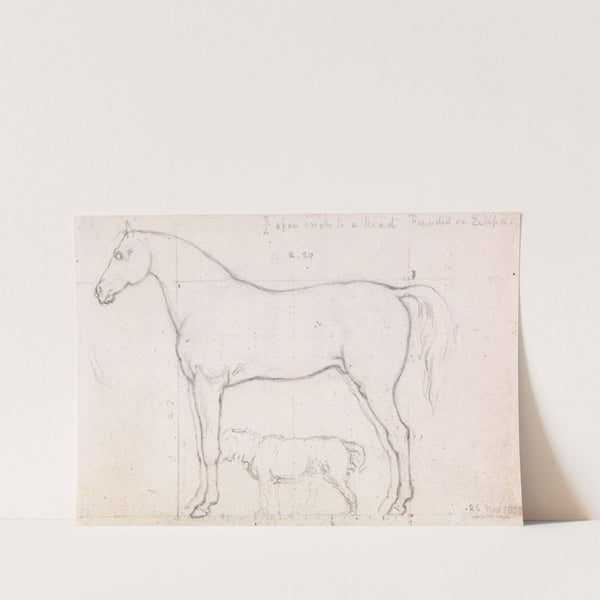 Anatomical Study of a Horse, Founded onArgenteuil by Claude Monet