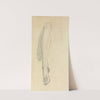 Anatomical Study of a Leg by Benjamin Robert Haydon