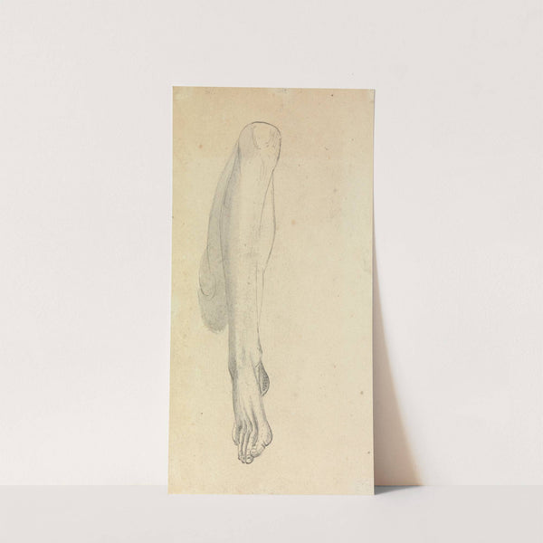 Anatomical Study of a Leg by Benjamin Robert Haydon
