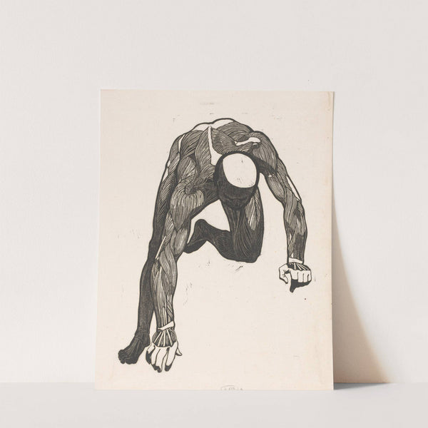 Anatomical study of the neck, arm and leg muscles of a man, Reijer Stolk by Reijer Stolk