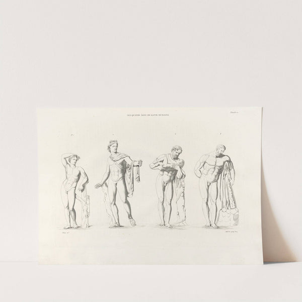 Anatomie du gladiateur combattant Pl.21 (1812) by Jean-Galbert Salvage