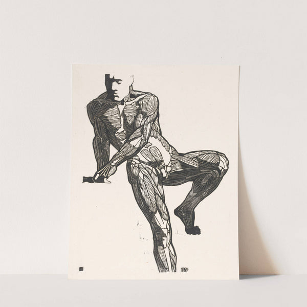 Anatomische studie van de borst-, buik- en beenspieren van een man by Reijer Stolk