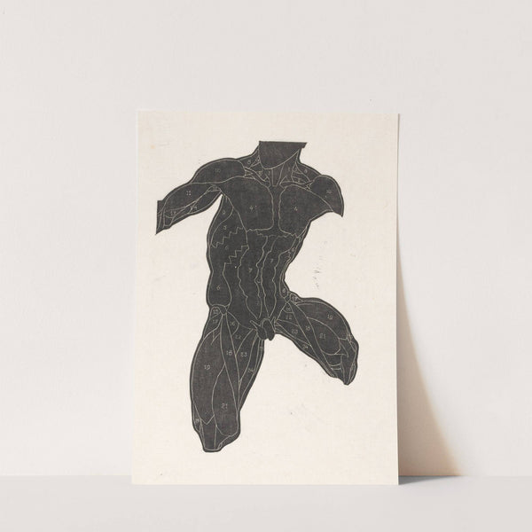 Anatomische studie van de nek-, buik- en bovenbeenspieren van een man in silhouet by Reijer Stolk