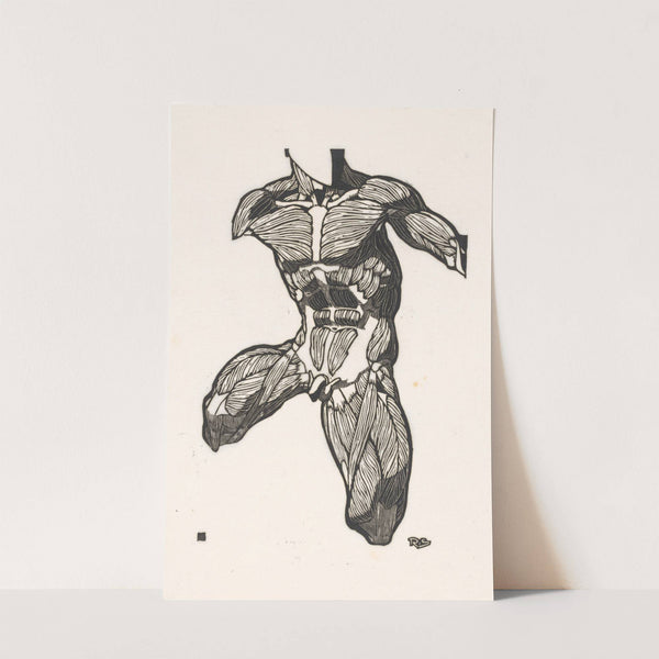 Anatomische studie van de nek-, buik- en bovenbeenspieren van een man by Reijer Stolk