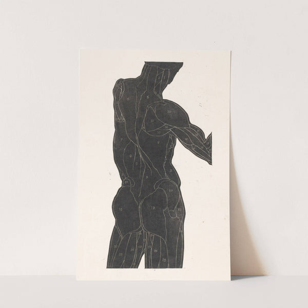 Anatomische studie van de rug- en bilspieren van een man in silhouet by Reijer Stolk
