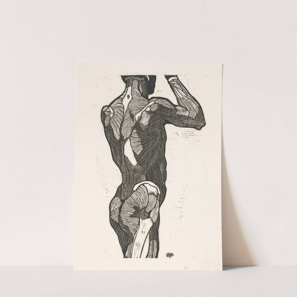 Anatomische studie van de rug- en bilspieren van een man by Reijer Stolk