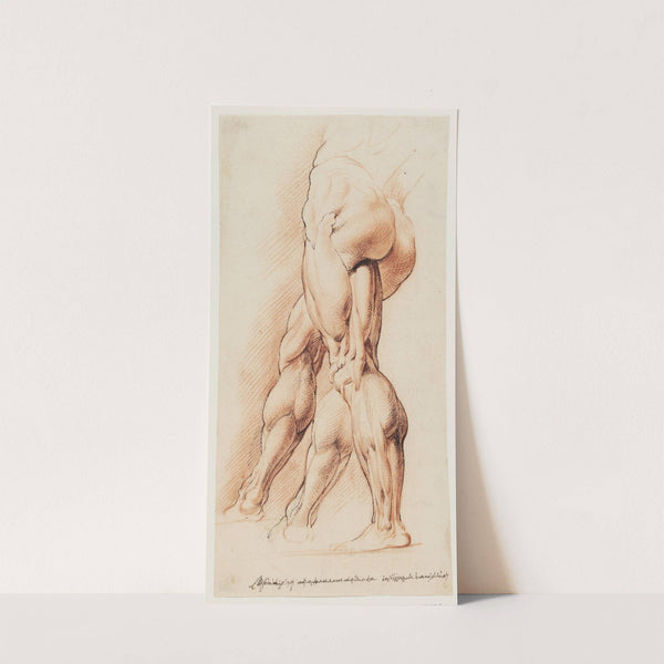 Anatomisk studie af en flået mands venstre ben set fra venstre og hans højre ben i to forskellige positioner écorché by Willem Panneels