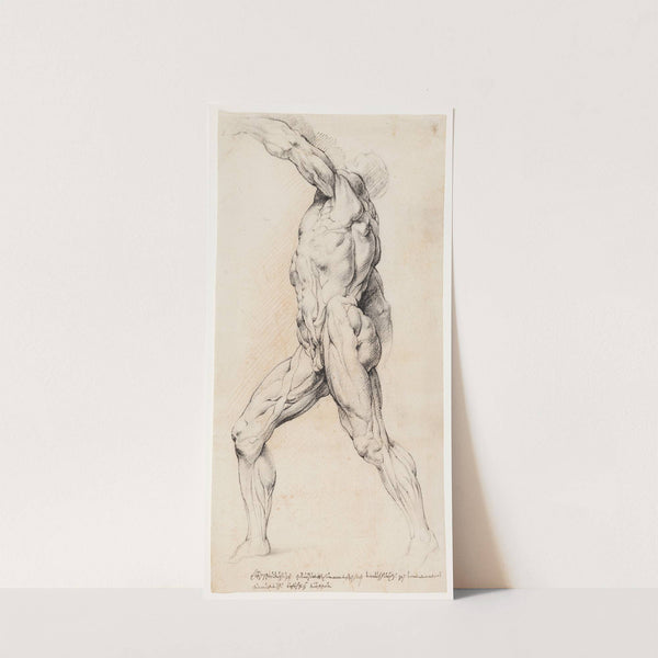 Anatomisk studie écorché En gående, flået mand med løftet venstre arm, venstre drejet by Willem Panneels