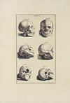 Anatomy improv’d and illustrated with regard to the uses thereof in designing Pl.01