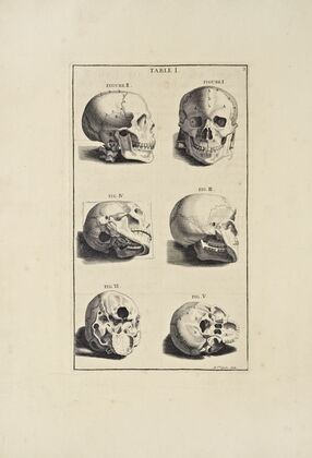Anatomy improv’d and illustrated with regard to the uses thereof in designing Pl.01