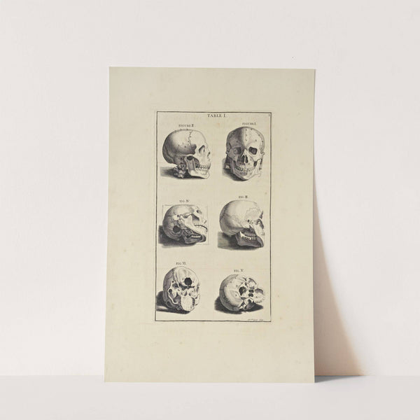 Anatomy improv'd and illustrated with regard to the uses thereof in designing Pl.01 by Michael van der Gucht