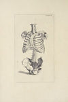 Anatomy improv’d and illustrated with regard to the uses thereof in designing Pl.02