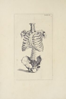 Anatomy improv’d and illustrated with regard to the uses thereof in designing Pl.02