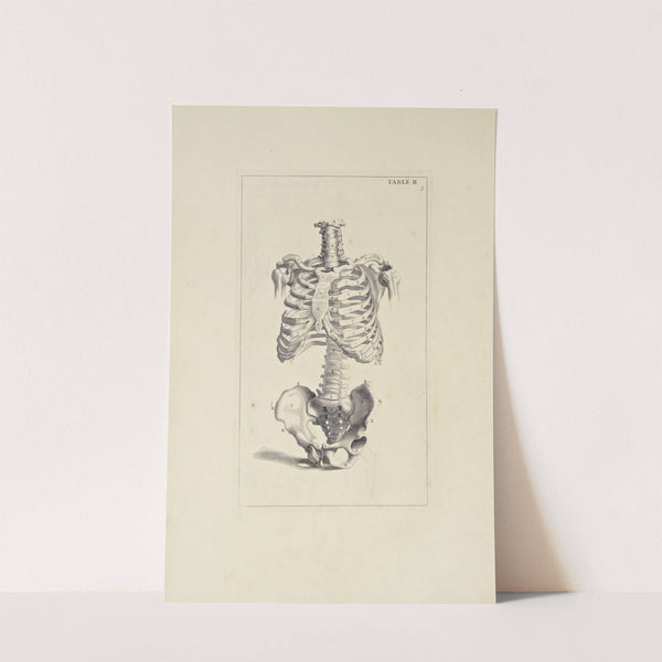 Anatomy improv'd and illustrated with regard to the uses thereof in designing Pl.02 by Michael van der Gucht