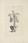 Anatomy improv’d and illustrated with regard to the uses thereof in designing Pl.03