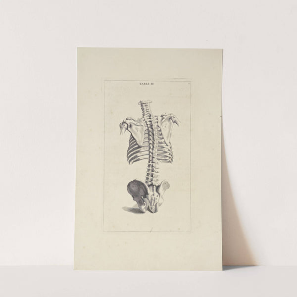 Anatomy improv'd and illustrated with regard to the uses thereof in designing Pl.03 by Michael van der Gucht