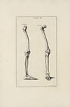 Anatomy improv’d and illustrated with regard to the uses thereof in designing Pl.07