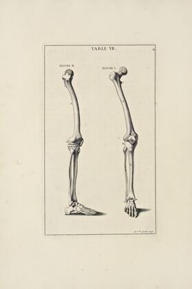 Anatomy improv’d and illustrated with regard to the uses thereof in designing Pl.07