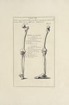 Anatomy improv’d and illustrated with regard to the uses thereof in designing Pl.08