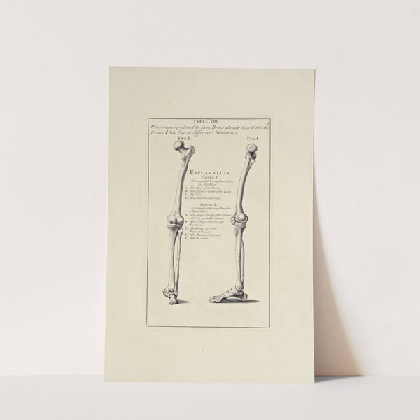 Anatomy improv'd and illustrated with regard to the uses thereof in designing Pl.08 by Michael van der Gucht