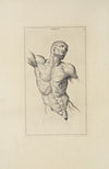 Anatomy improv’d and illustrated with regard to the uses thereof in designing Pl.10