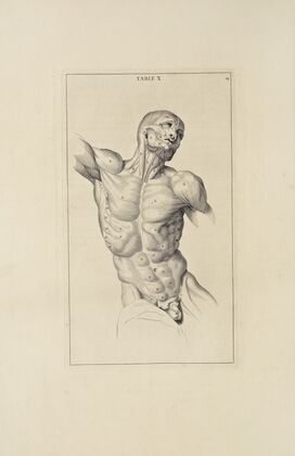 Anatomy improv’d and illustrated with regard to the uses thereof in designing Pl.10