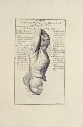 Anatomy improv’d and illustrated with regard to the uses thereof in designing Pl.11