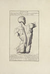 Anatomy improv’d and illustrated with regard to the uses thereof in designing Pl.12
