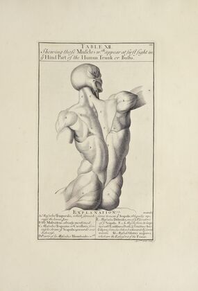 Anatomy improv’d and illustrated with regard to the uses thereof in designing Pl.12