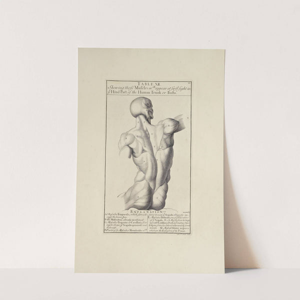 Anatomy improv’d and illustrated with regard to the uses thereof in designing Pl.12 (1723) by Michael van der Gucht