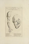 Anatomy improv’d and illustrated with regard to the uses thereof in designing Pl.18