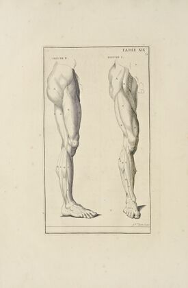 Anatomy improv’d and illustrated with regard to the uses thereof in designing Pl.19