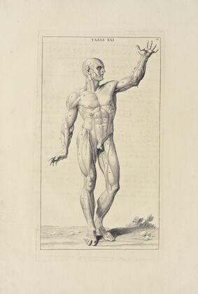 Anatomy improv’d and illustrated with regard to the uses thereof in designing Pl.21
