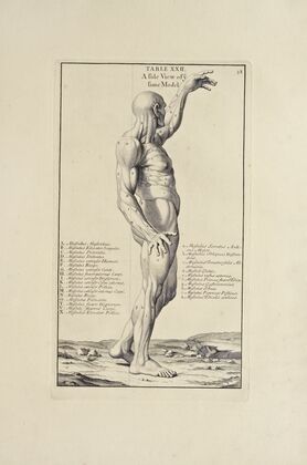 Anatomy improv’d and illustrated with regard to the uses thereof in designing Pl.22
